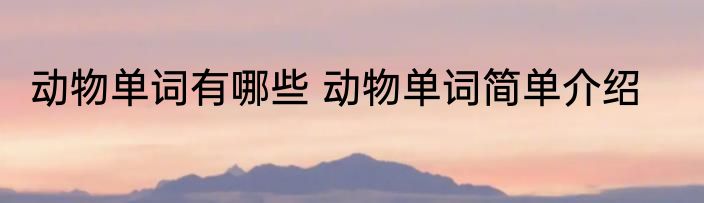 动物单词有哪些 动物单词简单介绍