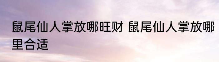 鼠尾仙人掌放哪旺财 鼠尾仙人掌放哪里合适
