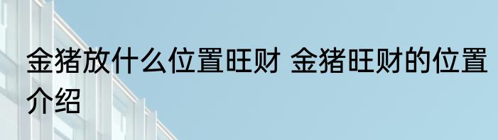 金猪放什么位置旺财 金猪旺财的位置介绍