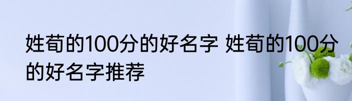 姓荀的100分的好名字 姓荀的100分的好名字推荐