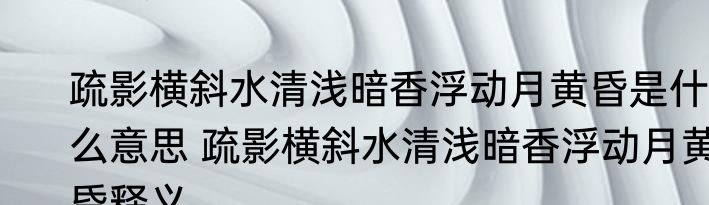 疏影横斜水清浅暗香浮动月黄昏是什么意思 疏影横斜水清浅暗香浮动月黄昏释义