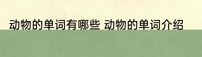 动物的单词有哪些 动物的单词介绍
