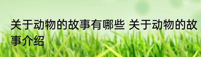 关于动物的故事有哪些 关于动物的故事介绍