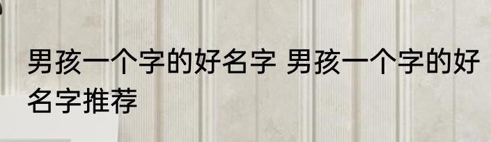 男孩一个字的好名字 男孩一个字的好名字推荐