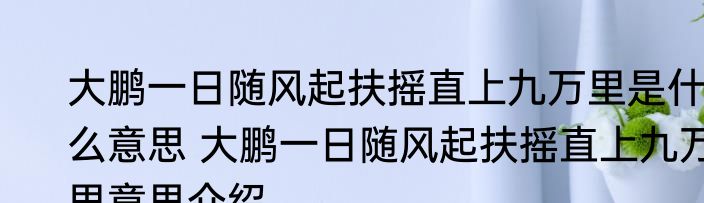 大鹏一日随风起扶摇直上九万里是什么意思 大鹏一日随风起扶摇直上九万里意思介绍