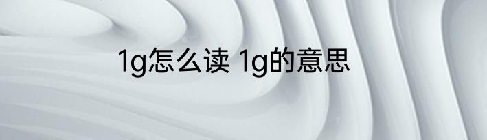 1g怎么读 1g的意思