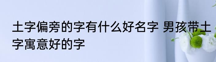 土字偏旁的字有什么好名字 男孩带土字寓意好的字
