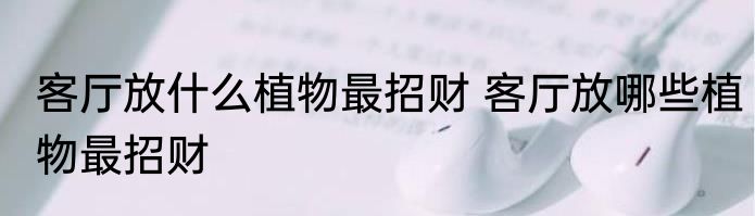 客厅放什么植物最招财 客厅放哪些植物最招财