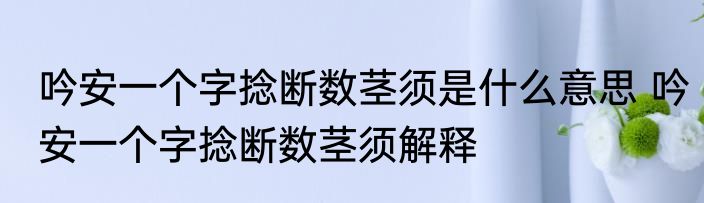 吟安一个字捻断数茎须是什么意思 吟安一个字捻断数茎须解释