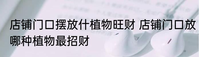 店铺门口摆放什植物旺财 店铺门口放哪种植物最招财