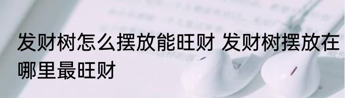 发财树怎么摆放能旺财 发财树摆放在哪里最旺财