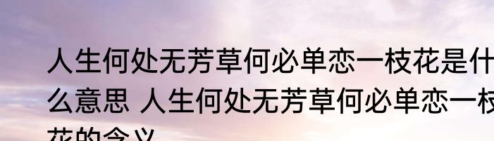 人生何处无芳草何必单恋一枝花是什么意思 人生何处无芳草何必单恋一枝花的含义