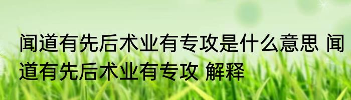 闻道有先后术业有专攻是什么意思 闻道有先后术业有专攻 解释