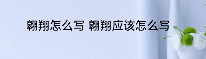 翱翔怎么写 翱翔应该怎么写