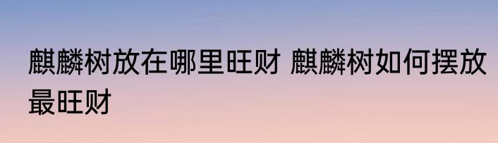 麒麟树放在哪里旺财 麒麟树如何摆放最旺财