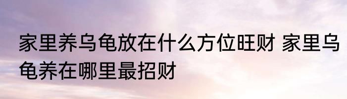 家里养乌龟放在什么方位旺财 家里乌龟养在哪里最招财
