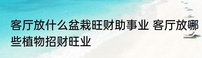 客厅放什么盆栽旺财助事业 客厅放哪些植物招财旺业