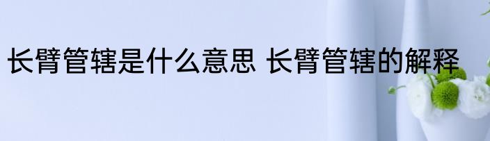 长臂管辖是什么意思 长臂管辖的解释