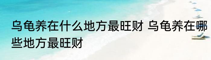 乌龟养在什么地方最旺财 乌龟养在哪些地方最旺财