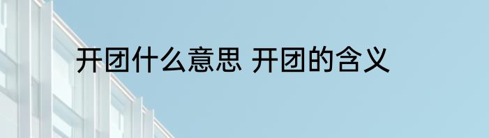 开团什么意思 开团的含义