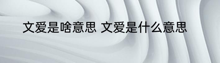 文爱是啥意思 文爱是什么意思