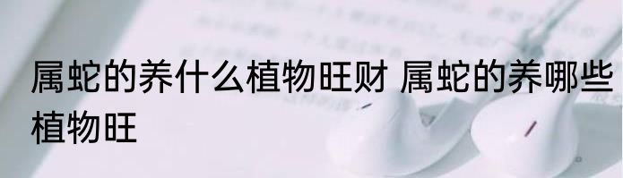 属蛇的养什么植物旺财 属蛇的养哪些植物旺