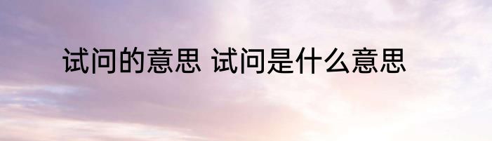 试问的意思 试问是什么意思