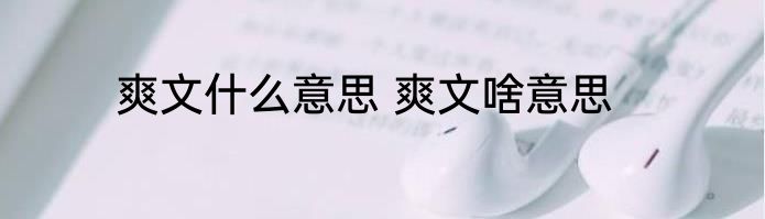 爽文什么意思 爽文啥意思