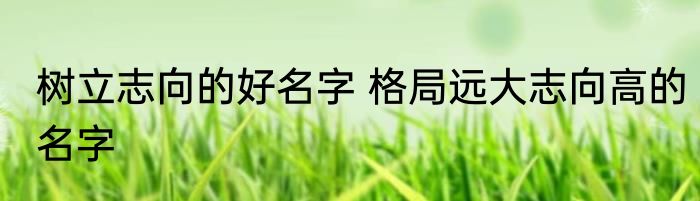 树立志向的好名字 格局远大志向高的名字
