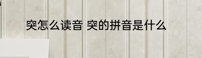 突怎么读音 突的拼音是什么