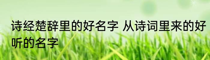 诗经楚辞里的好名字 从诗词里来的好听的名字