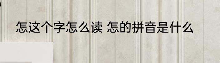 怎这个字怎么读 怎的拼音是什么