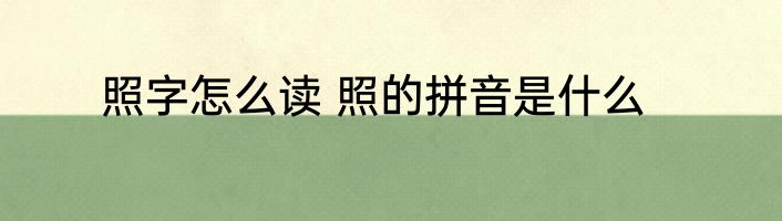 照字怎么读 照的拼音是什么