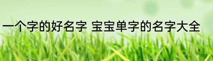 一个字的好名字 宝宝单字的名字大全