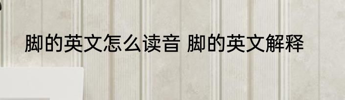 脚的英文怎么读音 脚的英文解释