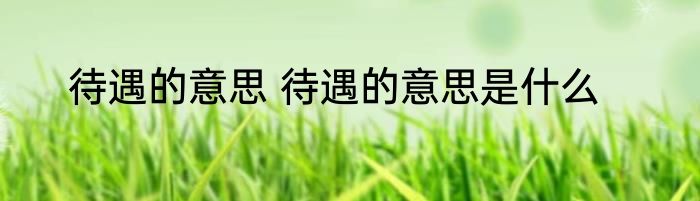 待遇的意思 待遇的意思是什么