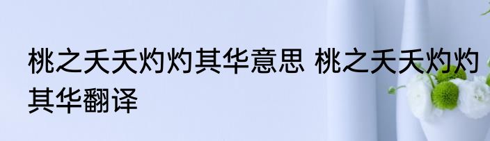 桃之夭夭灼灼其华意思 桃之夭夭灼灼其华翻译