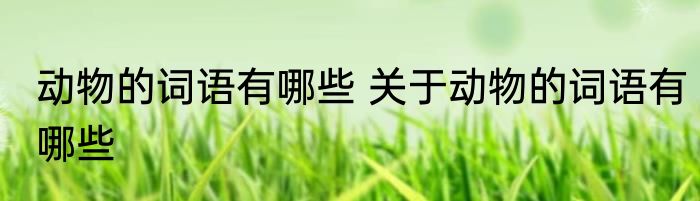 动物的词语有哪些 关于动物的词语有哪些