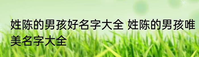 姓陈的男孩好名字大全 姓陈的男孩唯美名字大全