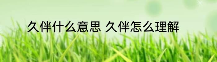 久伴什么意思 久伴怎么理解