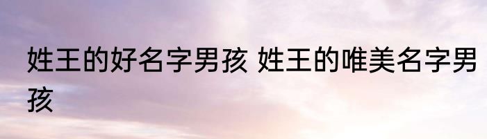 姓王的好名字男孩 姓王的唯美名字男孩