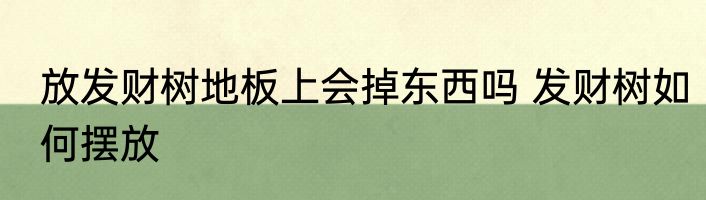 放发财树地板上会掉东西吗 发财树如何摆放