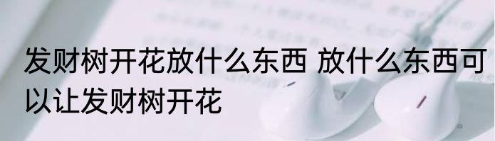 发财树开花放什么东西 放什么东西可以让发财树开花