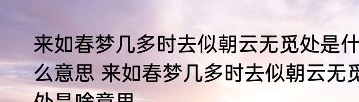 来如春梦几多时去似朝云无觅处是什么意思 来如春梦几多时去似朝云无觅处是啥意思