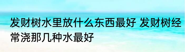 发财树水里放什么东西最好 发财树经常浇那几种水最好