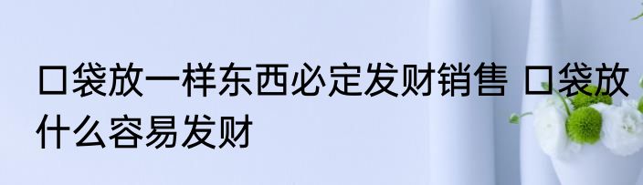 口袋放一样东西必定发财销售 口袋放什么容易发财