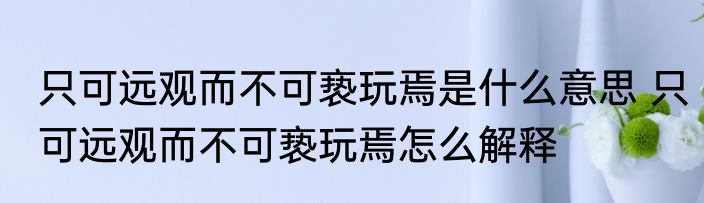 只可远观而不可亵玩焉是什么意思 只可远观而不可亵玩焉怎么解释