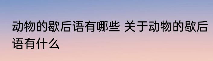 动物的歇后语有哪些 关于动物的歇后语有什么
