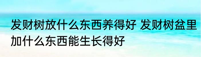 发财树放什么东西养得好 发财树盆里加什么东西能生长得好