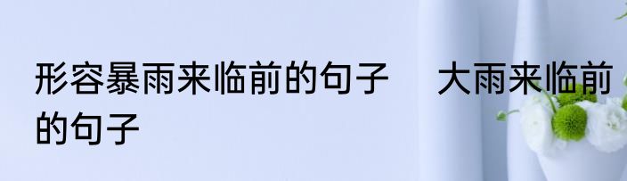 形容暴雨来临前的句子 　大雨来临前的句子